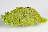 Apple-Green Pyromorphite Crystal Cluster - China #179817-1